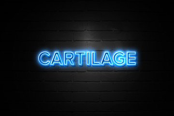 Cartilage neon Sign on brickwall