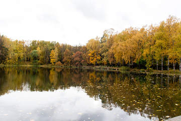 Pond in Uzkoe Park, Moscow