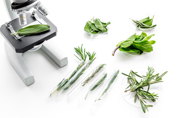 Analysing food concept. Healthy products. Herbs rosemary, mint under microscope on white background...