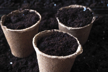 Peat pots for seedlings. Spring planting of plant seeds.
