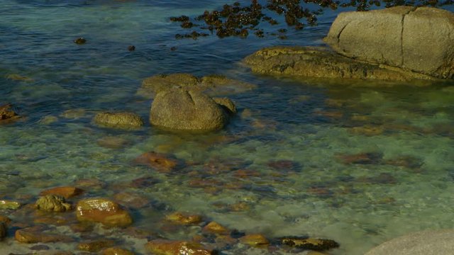 Seashore with gentle translucent waves - Simonstown
