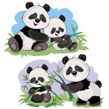 Cute baby panda bear and its mother playing on grass, eating bamboo stems and leaves, vector cartoon illustration. Wild animal funny characters for kids books, t-shirt print, cards, posters for zoo