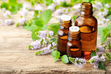 fresh purple Peppermint flowers and Peppermint essential oil on the wooden table - obrazy, fototapety, plakaty