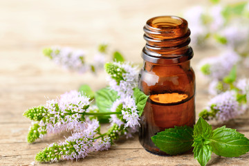 fresh purple Peppermint flowers and Peppermint essential oil on the wooden table