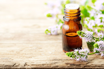 fresh purple Peppermint flowers and Peppermint essential oil on the wooden table