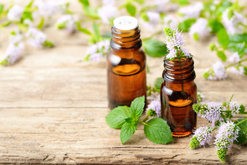 fresh purple Peppermint flowers and Peppermint essential oil on the wooden table