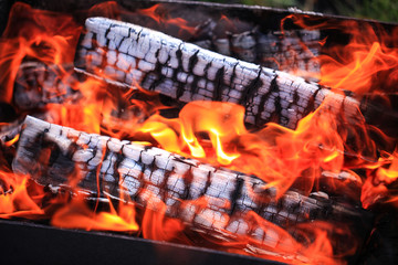 Firewood is burning in grill. Great fire.