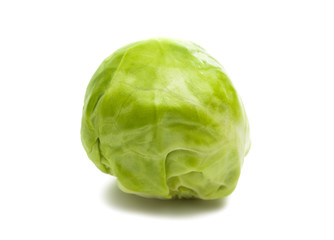 Fototapeta premium brussels sprouts isolated