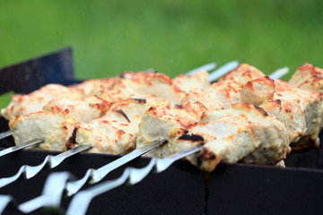 Meat skewers on grill. Background green grass. Tasty.