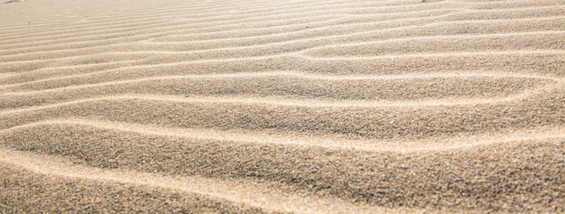 Obraz na płótnie Canvas waves of sand in the desert on the sand dunes