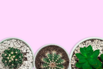 Top view on white empty desk with space for text and three cactuses in gray concrete pots on the pastel pink background