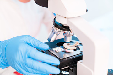 study of the quality of edible mushrooms with a microscope