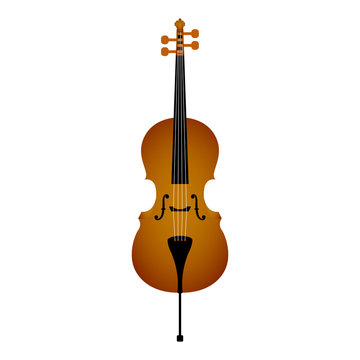 Isolated cello. Musical instrument