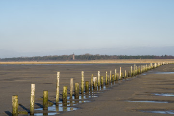 Ebbe an der Nordsee, Wattwanderung