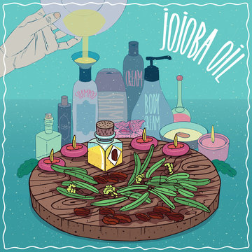Jojoba oil used for cosmetics making