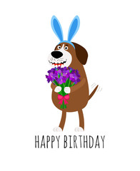 Dog with rabbit ears birthday card