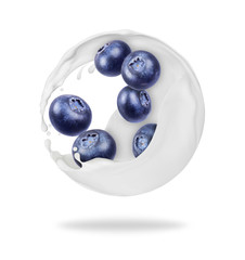 Blueberries rotate in splashes of milk, isolated on white background