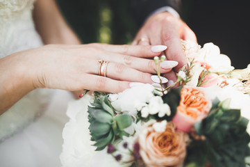 Wedding couple bride and groom holding hands