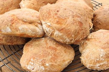 Dinkelbrötchen