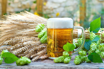 still life with beer glass and hop cones