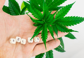 To relax from marijuana. A marijuana bush and the word "relax" from cubes on the palm on a white background.