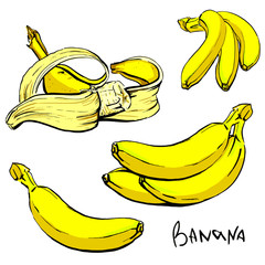 A set of four yellow ripe banana illustrations with a black outline. drawn by hands. Isolated on white background.