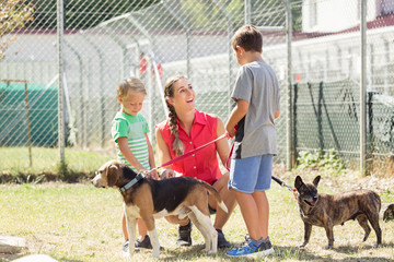 Mom with her sons walking dogs of an animal shelter to get to know them 