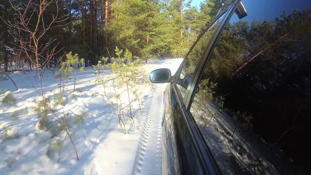 
4K.Car goes on winter forest or  park, Reflection of trees in  window. POV clip
