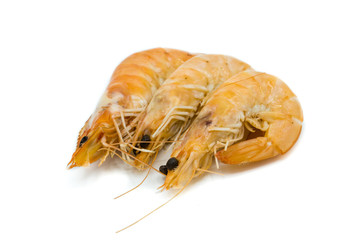 Krabben shrimps schrimps ungepult isoliert freigestellt auf weißen Hintergrund, Freisteller