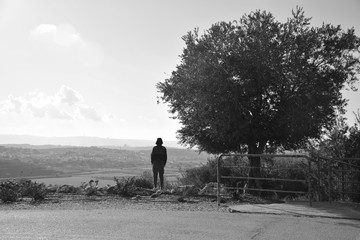 A man stands next to an olive tree. Looking down at the valley below.