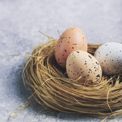 Cute creative with easter eggs in the nest
