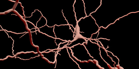 Dopaminergic neuron. Degeneration of this brain cells are responsible for development of Parkinson's disease, 3D illustration