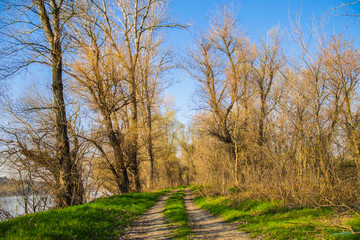 A land route along the river bank