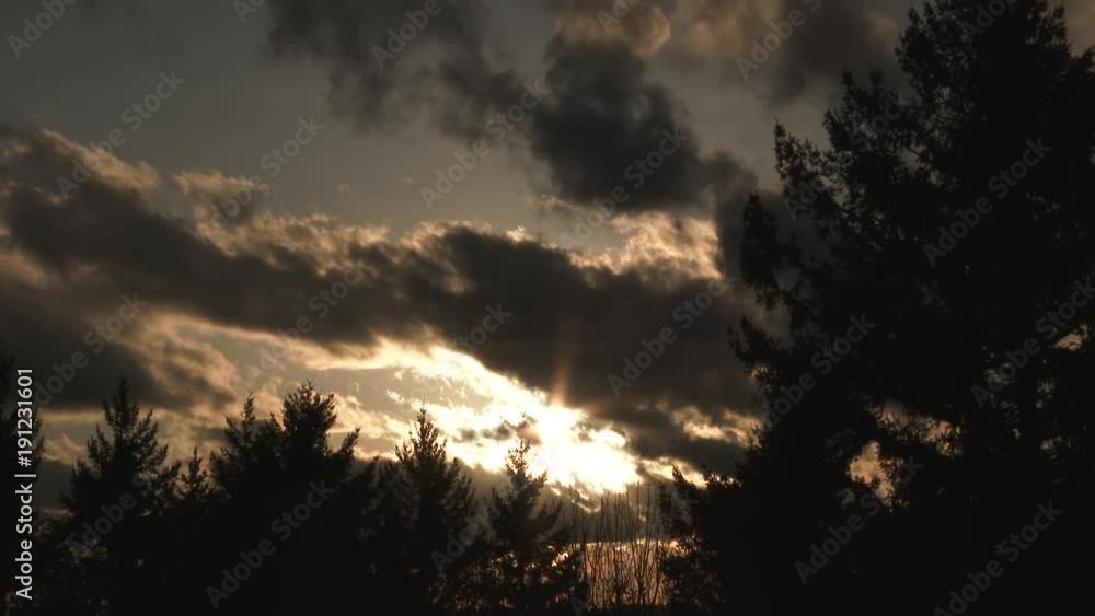 Canvas Prints final sun light shines through clouds before the fall of night, time lapse with still forest trees.