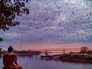A steam of bats leaving their cave at Than Lwin river, Myanmar (Burma)