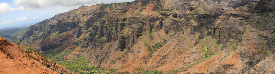 Fototapeta na wymiar Canyon Trail im Waimea Canyon Kauai Hawaii USA