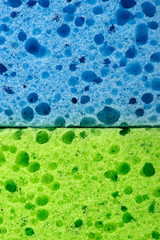 The texture of the sponge
