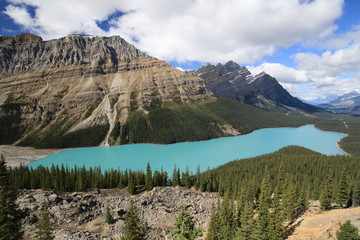 scenic view of peyto lake in canadian rockies