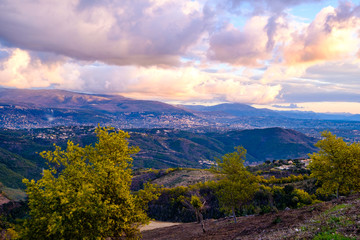 Vue panoramique sur le massif de Tanneron, arbres de mimosa en fleurs, lever de soleil, Provence,...