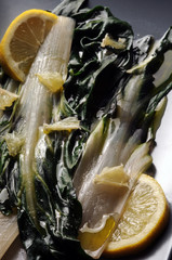 Beta vulgaris var. cicla Bietola Mangold Acelga Bieta Kogte vegetales cocidos grøntsager Blette Cooked vegetables Bleda coste Мангольд  莙薘菜 verdura gekochtes Gemüse cotta Σέσκουλο سلق 