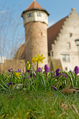 Fr&uuml;hlingsanfang