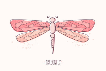 Dragonfly Hand Drawn. 