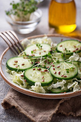 Healthy spring salad with cucumber, flax seed and cress 