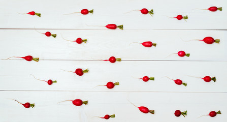 Fresh garden organic radish on white wooden background, copy space. Freshly harvested red radish. Vegetables background. Top view, flat lay