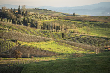 Tuscany's wineyards and country in winter, at sunset
