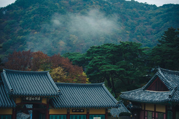 Morning light and rituals at Haein-sa Temple at the foot of Gayasan Mountain, South Korea