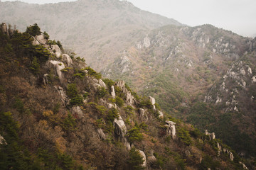 Hiking from moisture to cloud in Gayasan National Park, South Korea
