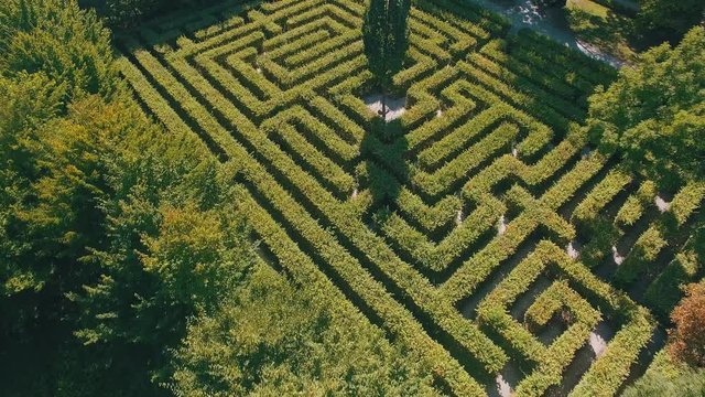 Hedge maze in city park. Labyrinth in the bushes. Beautiful summer in town, green trees. Woman is walking through a maze - 4K Drone Footage