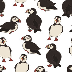 Vector seamless pattern with hand drawn atlantic puffins isolated on white background. Funny puffin character, beautiful design elements. Cute cartoon Icelandic puffin bird. Design for print or web.