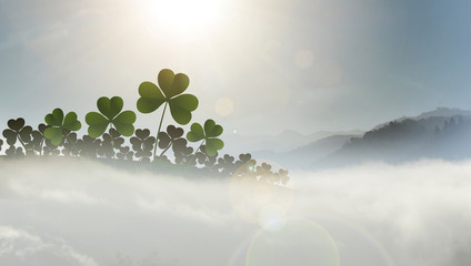 shamrocks in mist
